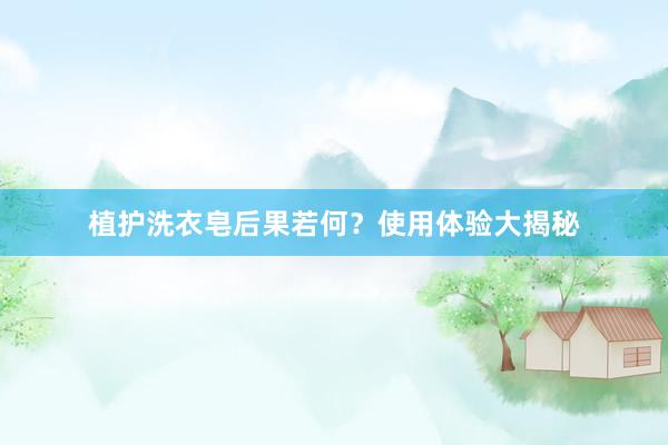 植护洗衣皂后果若何？使用体验大揭秘