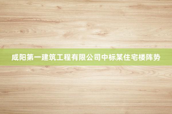咸阳第一建筑工程有限公司中标某住宅楼阵势