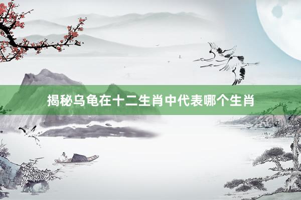 揭秘乌龟在十二生肖中代表哪个生肖